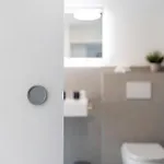 Kaisers Nescht